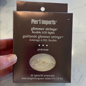 Pier 1 Imports Glimmer Strings LED Lights NWT